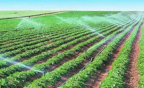 操尿了肥逼视频网站农田高 效节水灌溉